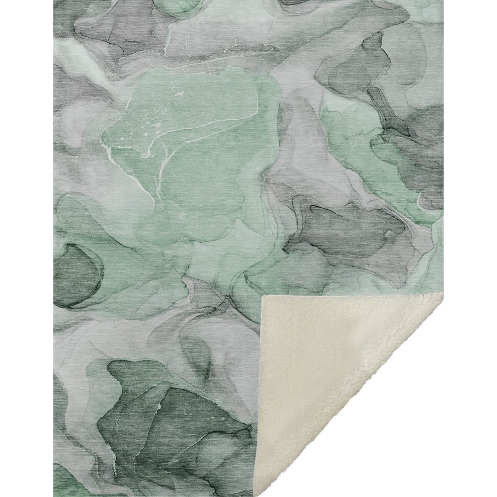 Premium Machine Washable ASB504 Green 50" x 70" Sherpa Throw Blanket. Picture 1