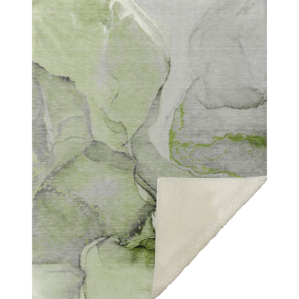 Premium Machine Washable ASB506 Green 50" x 70" Sherpa Throw Blanket. Picture 1