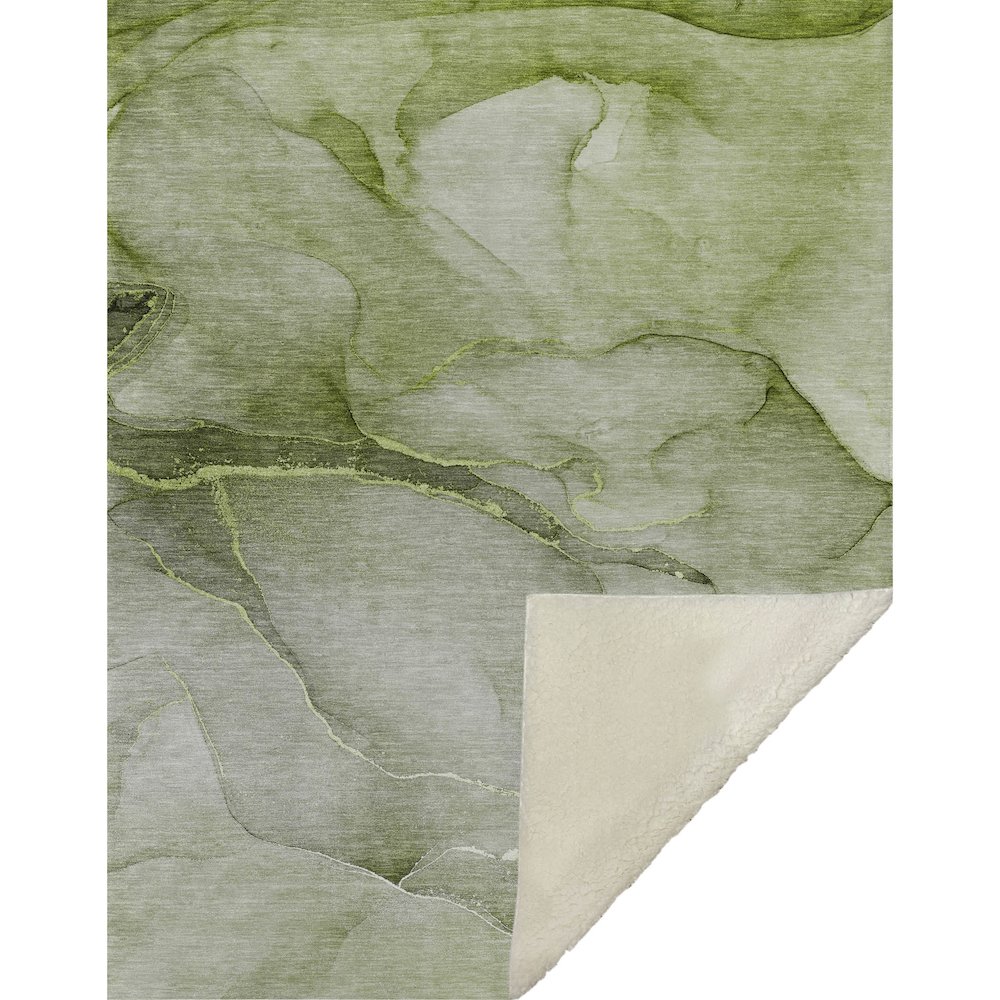 Premium Machine Washable ASB508 Olive 50" x 70" Sherpa Throw Blanket. Picture 1