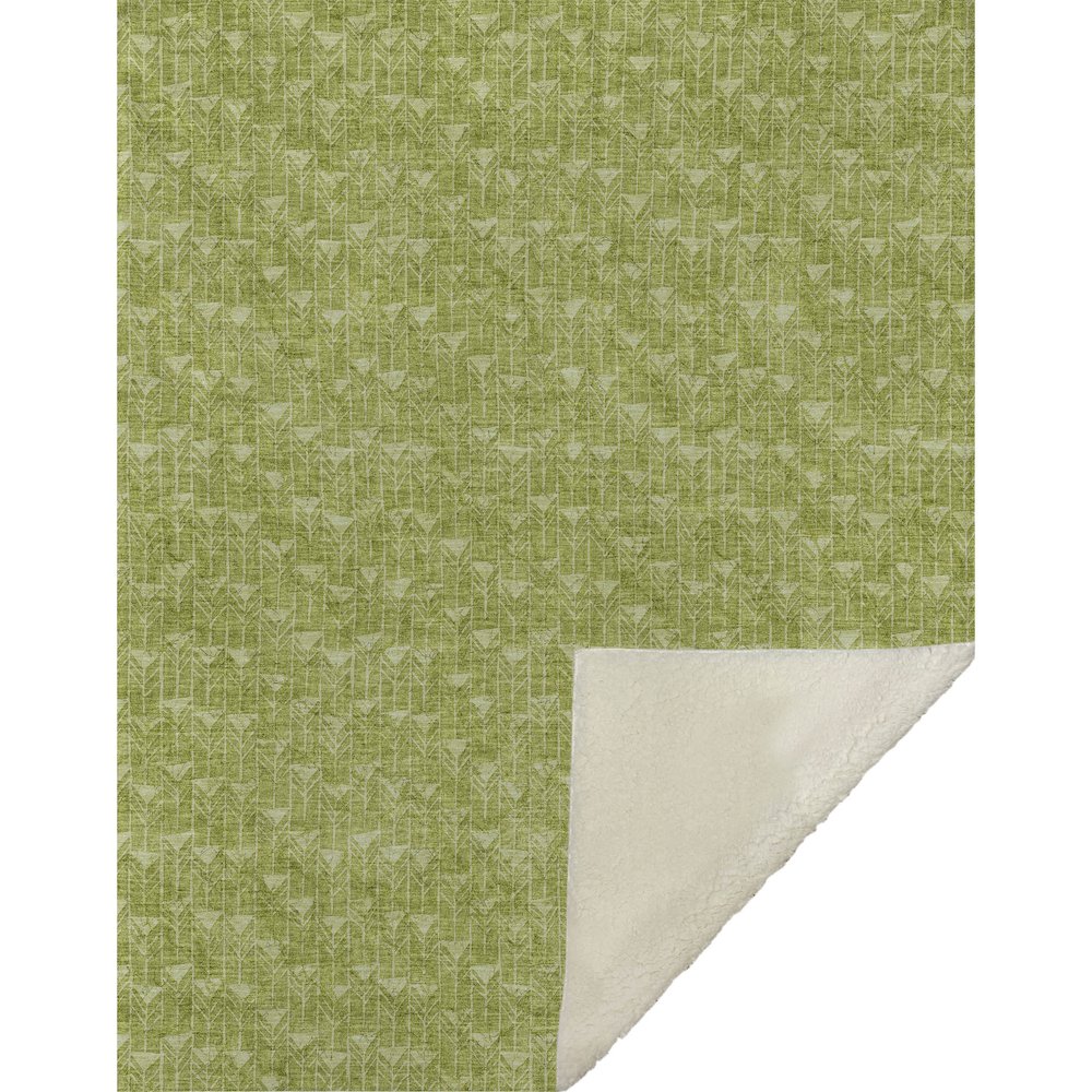 Premium Machine Washable ASB514 Aloe 50" x 70" Sherpa Throw Blanket. Picture 1