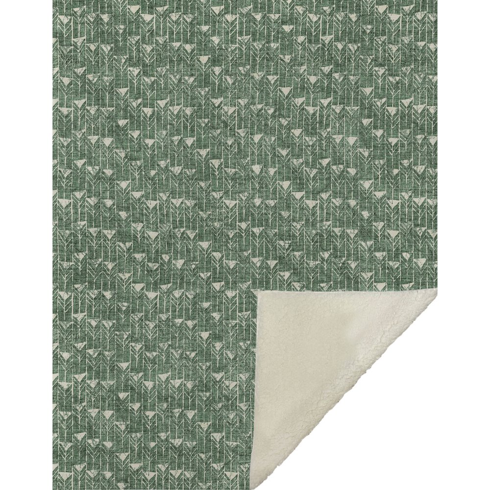 Premium Machine Washable ASB514 Green 50" x 70" Sherpa Throw Blanket. Picture 1