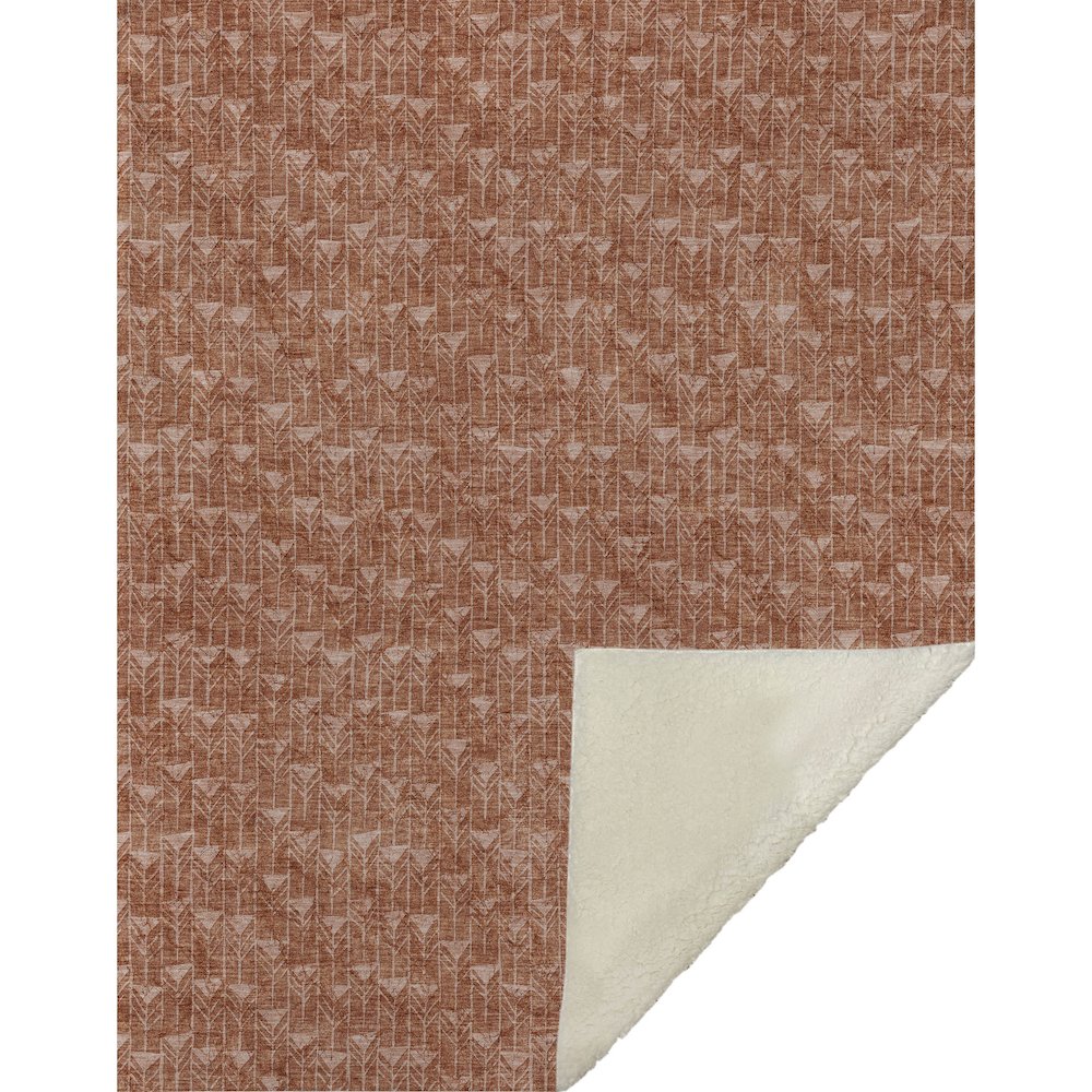 Premium Machine Washable ASB514 Terracotta 50" x 70" Sherpa Throw Blanket. Picture 1