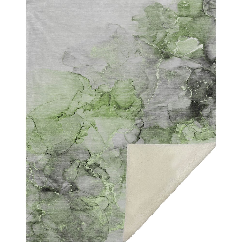 Premium Machine Washable ASB520 Green 50" x 70" Sherpa Throw Blanket. Picture 1
