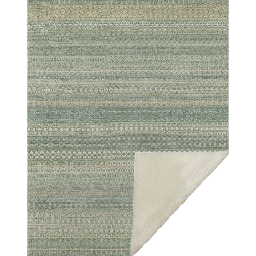 Premium Machine Washable ASB527 Aloe 50" x 70" Sherpa Throw Blanket. Picture 1