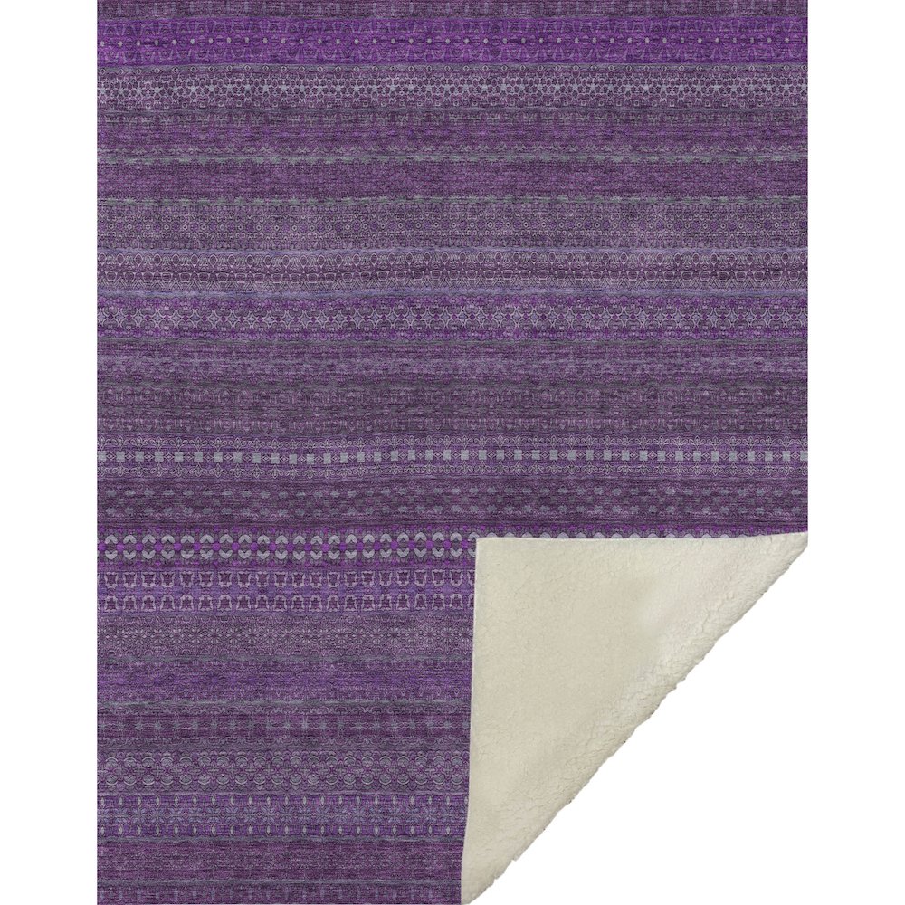 Premium Machine Washable ASB527 Eggplant 50" x 70" Sherpa Throw Blanket. Picture 1