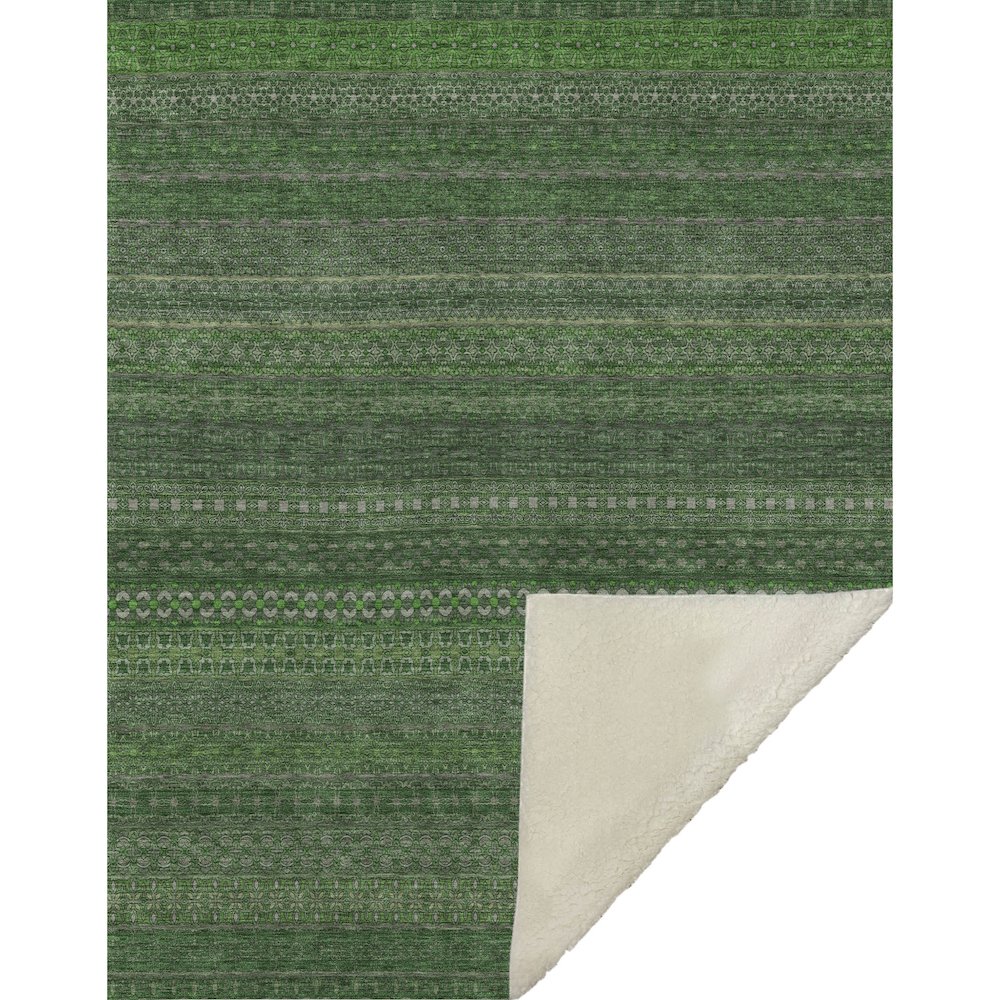Premium Machine Washable ASB527 Fern 50" x 70" Sherpa Throw Blanket. Picture 1