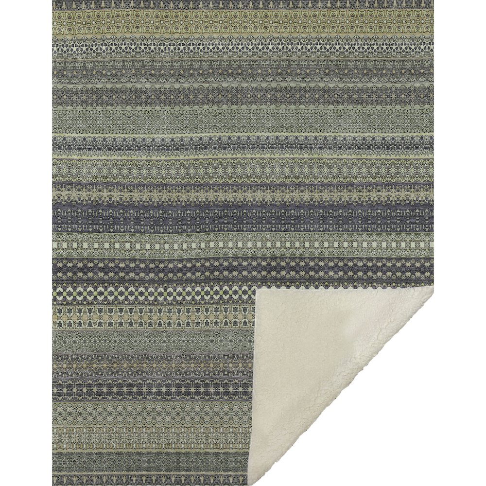 Premium Machine Washable ASB527 Sage 50" x 70" Sherpa Throw Blanket. Picture 1