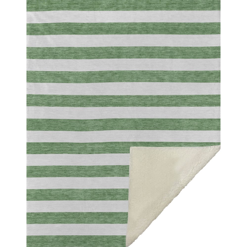 Premium Machine Washable ASB528 Green 50" x 70" Sherpa Throw Blanket. Picture 1