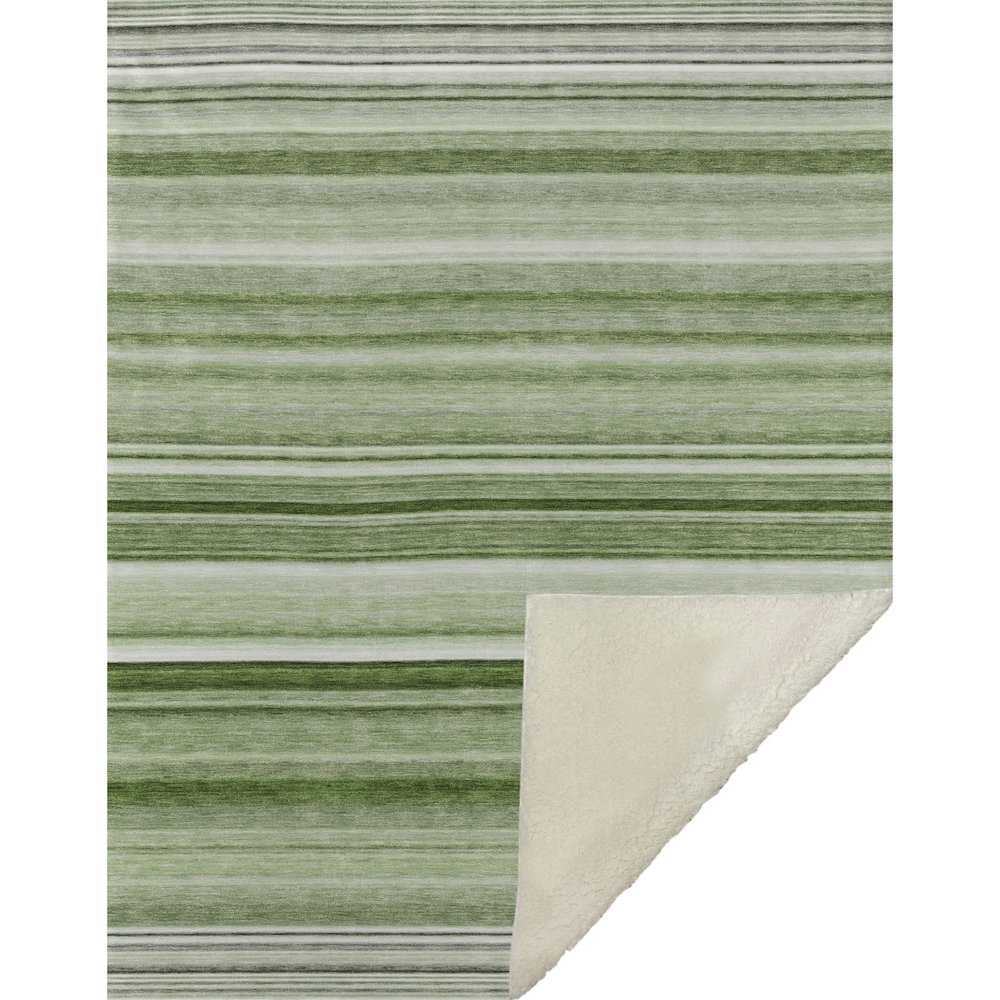 Premium Machine Washable ASB529 Aloe 50" x 70" Sherpa Throw Blanket. Picture 1