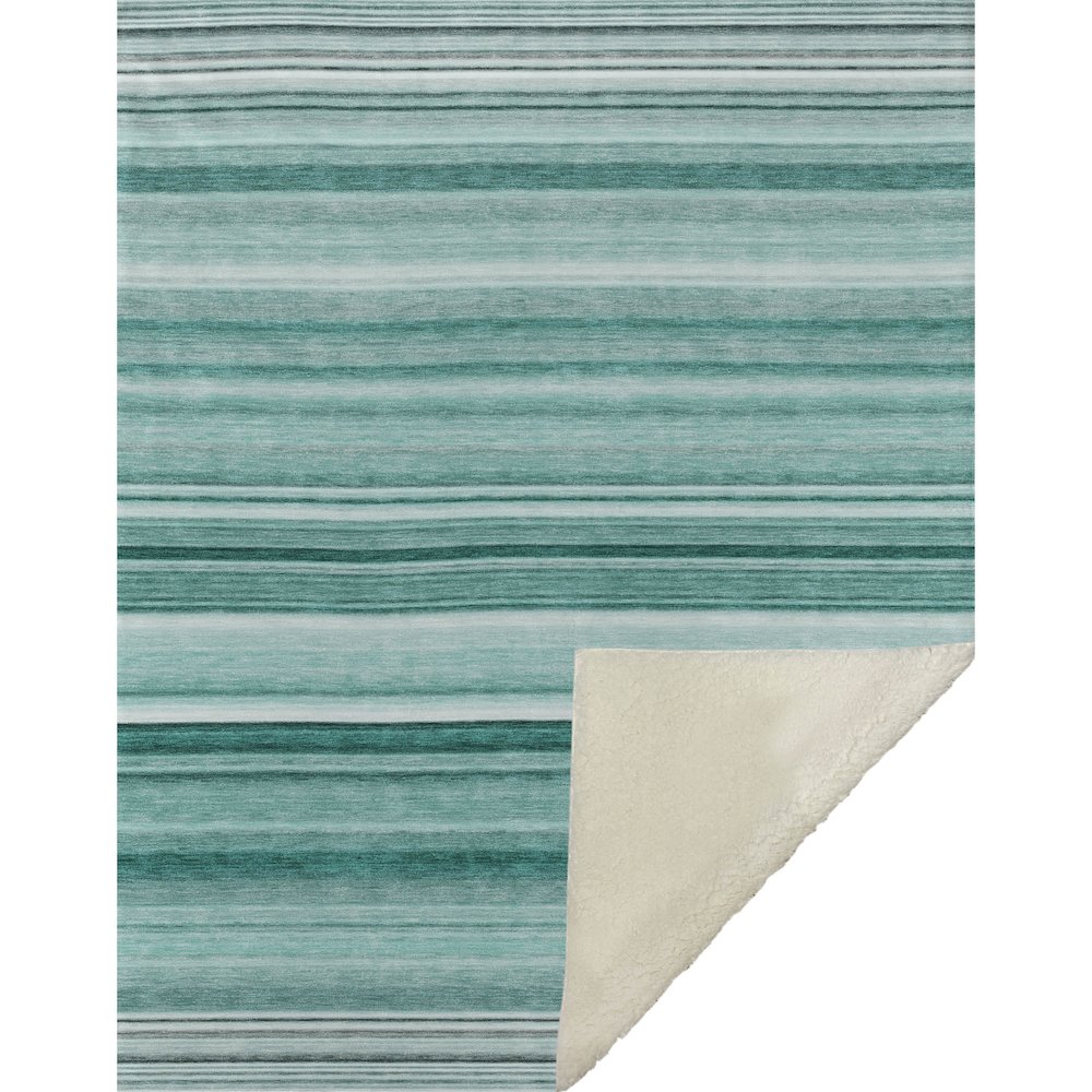 Premium Machine Washable ASB529 Aqua 50" x 70" Sherpa Throw Blanket. Picture 1