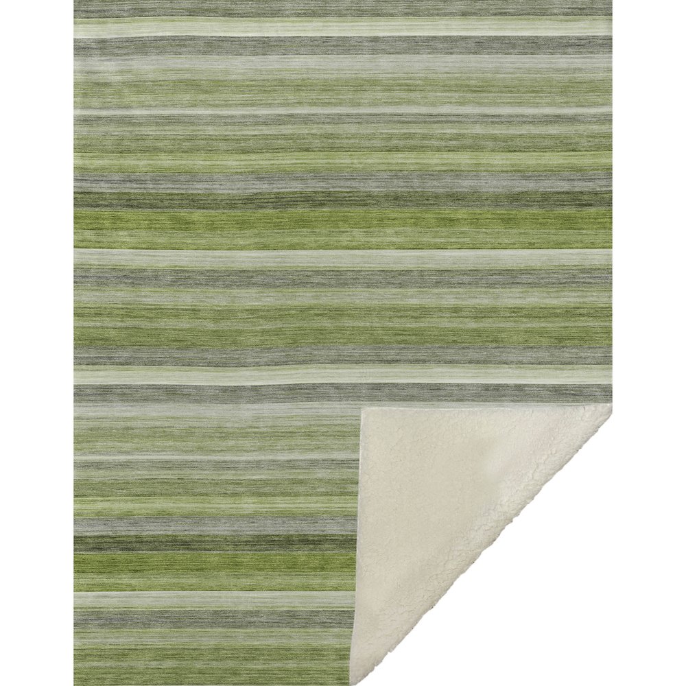 Premium Machine Washable ASB535 Fern 50" x 70" Sherpa Throw Blanket. Picture 1