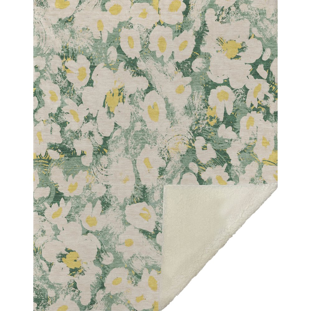 Premium Machine Washable ASB538 Green 50" x 70" Sherpa Throw Blanket. Picture 1