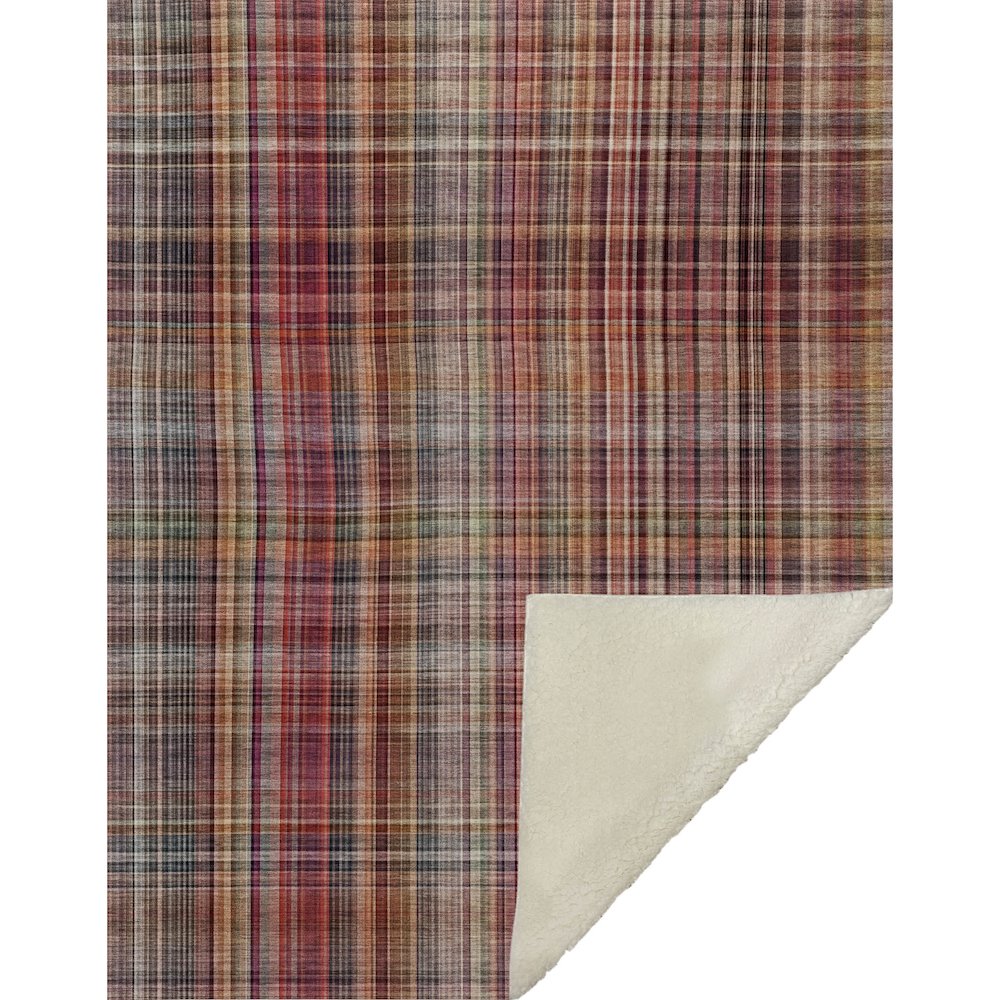 Premium Machine Washable ASB541 Red 50" x 70" Sherpa Throw Blanket. Picture 1