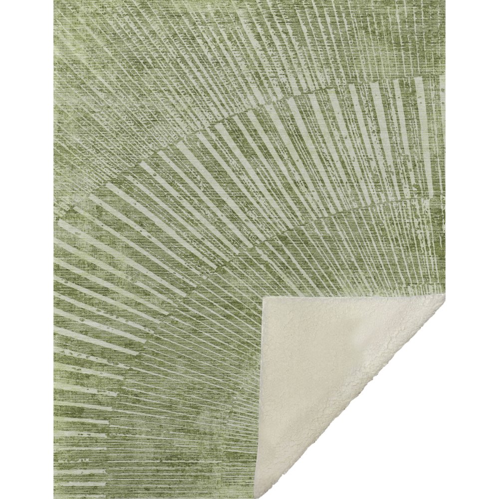 Premium Machine Washable ASB542 Sage 50" x 70" Sherpa Throw Blanket. Picture 1