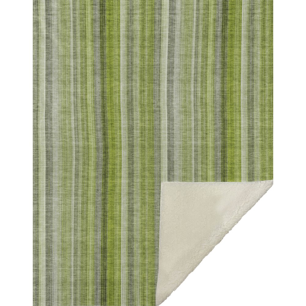 Premium Machine Washable ASB543 Green 50" x 70" Sherpa Throw Blanket. Picture 1