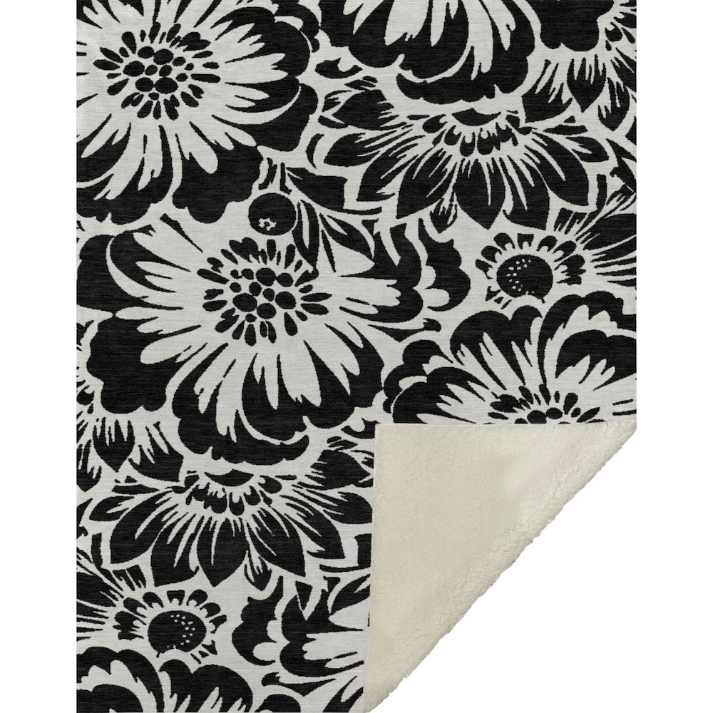 Premium Machine Washable ASB551 Black 50" x 70" Sherpa Throw Blanket. Picture 1