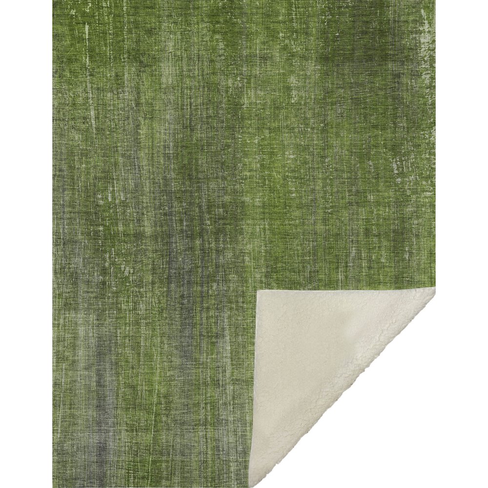 Premium Machine Washable ASB552 Green 50" x 70" Sherpa Throw Blanket. Picture 1