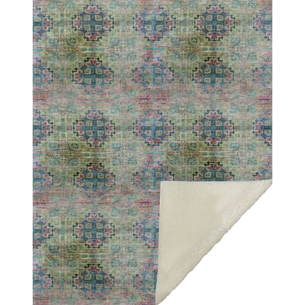 Premium Machine Washable ASB557 Green 50" x 70" Sherpa Throw Blanket. Picture 1