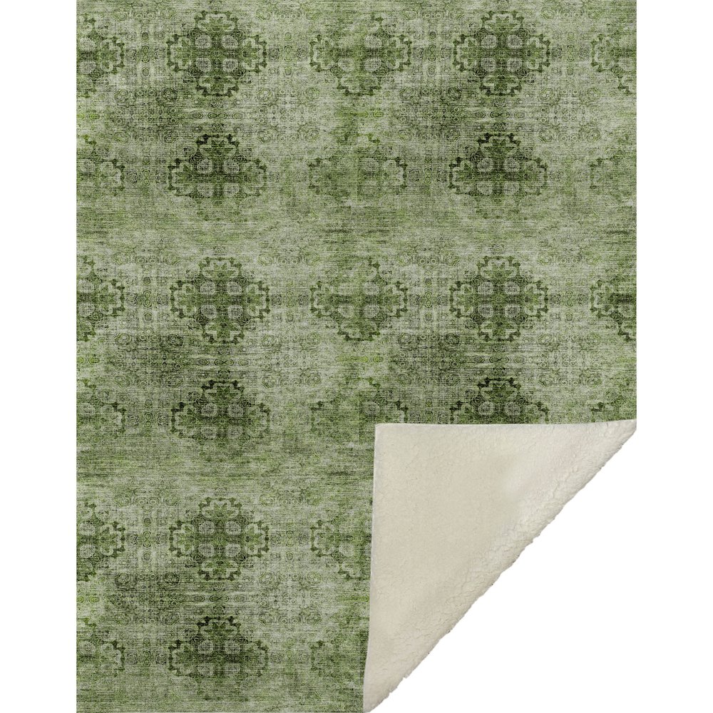 Premium Machine Washable ASB557 Olive 50" x 70" Sherpa Throw Blanket. Picture 1
