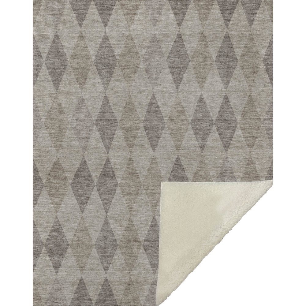 Premium Machine Washable ASB561 Beige 50" x 70" Sherpa Throw Blanket. Picture 1
