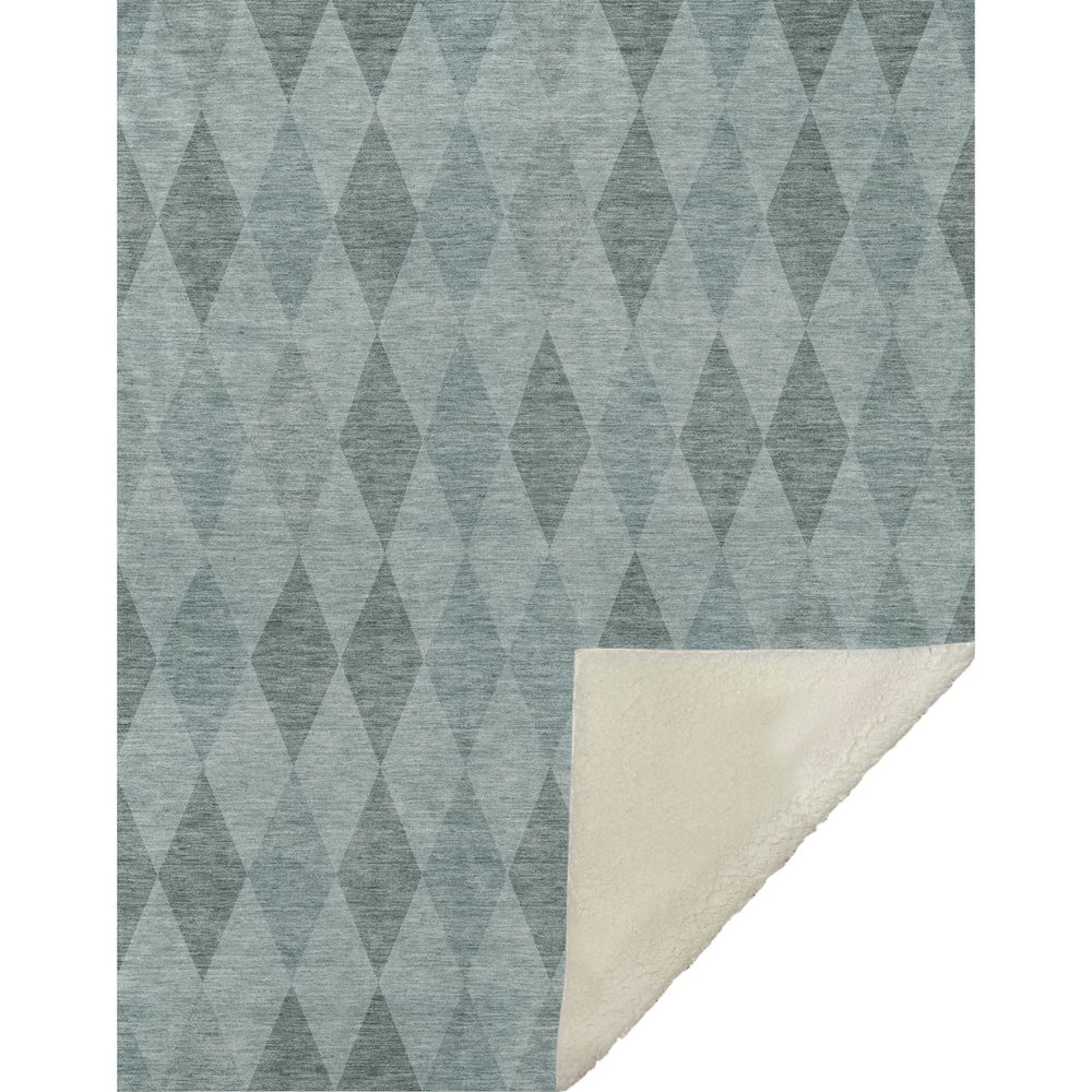 Premium Machine Washable ASB561 Teal 50" x 70" Sherpa Throw Blanket. Picture 1