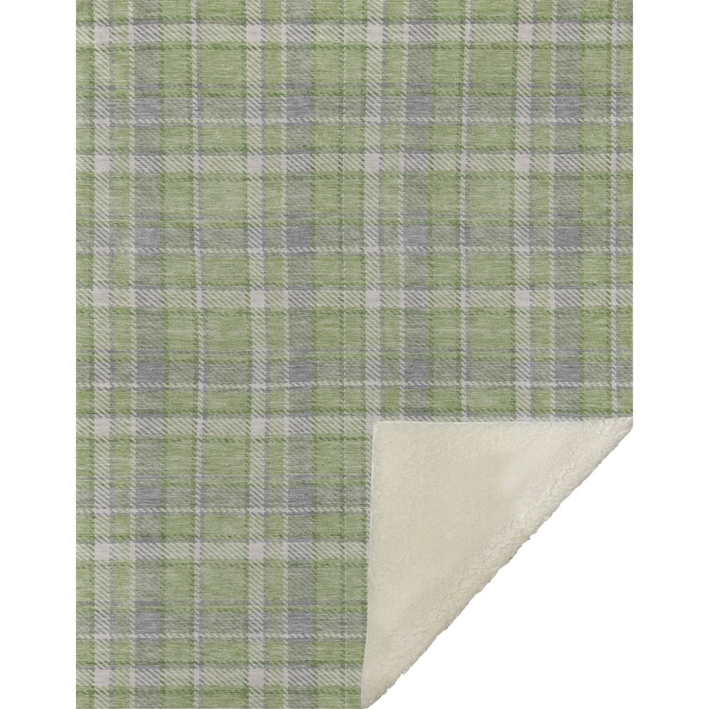 Premium Machine Washable ASB563 Green 50" x 70" Sherpa Throw Blanket. Picture 1