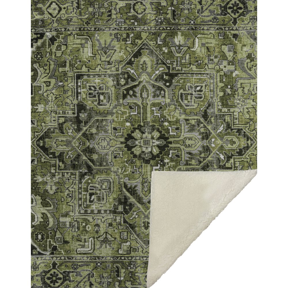Premium Machine Washable ASB570 Olive 50" x 70" Sherpa Throw Blanket. Picture 1