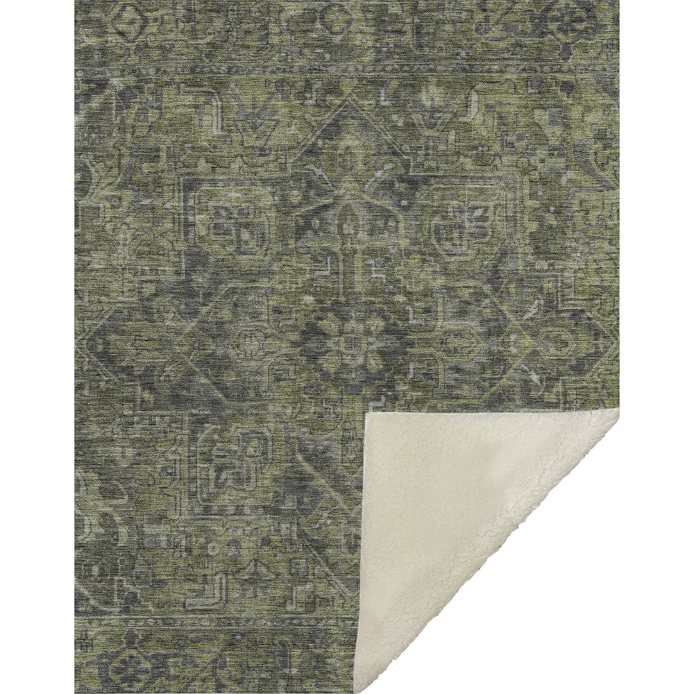 Premium Machine Washable ASB571 Green 50" x 70" Sherpa Throw Blanket. Picture 1
