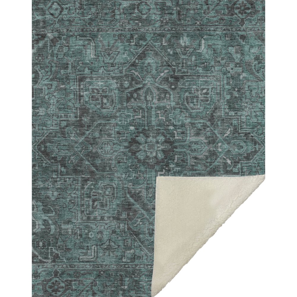 Premium Machine Washable ASB571 Turquoise 50" x 70" Sherpa Throw Blanket. Picture 1