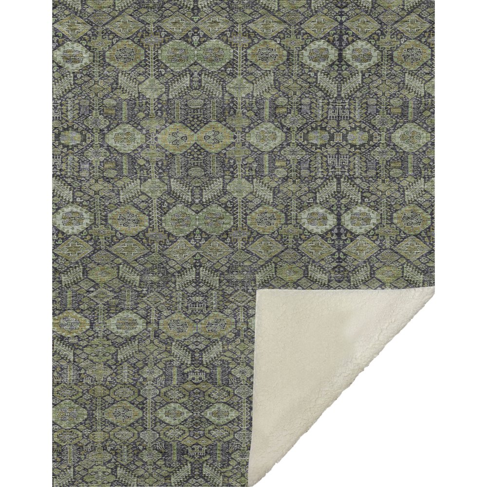 Premium Machine Washable ASB574 Green 50" x 70" Sherpa Throw Blanket. Picture 1