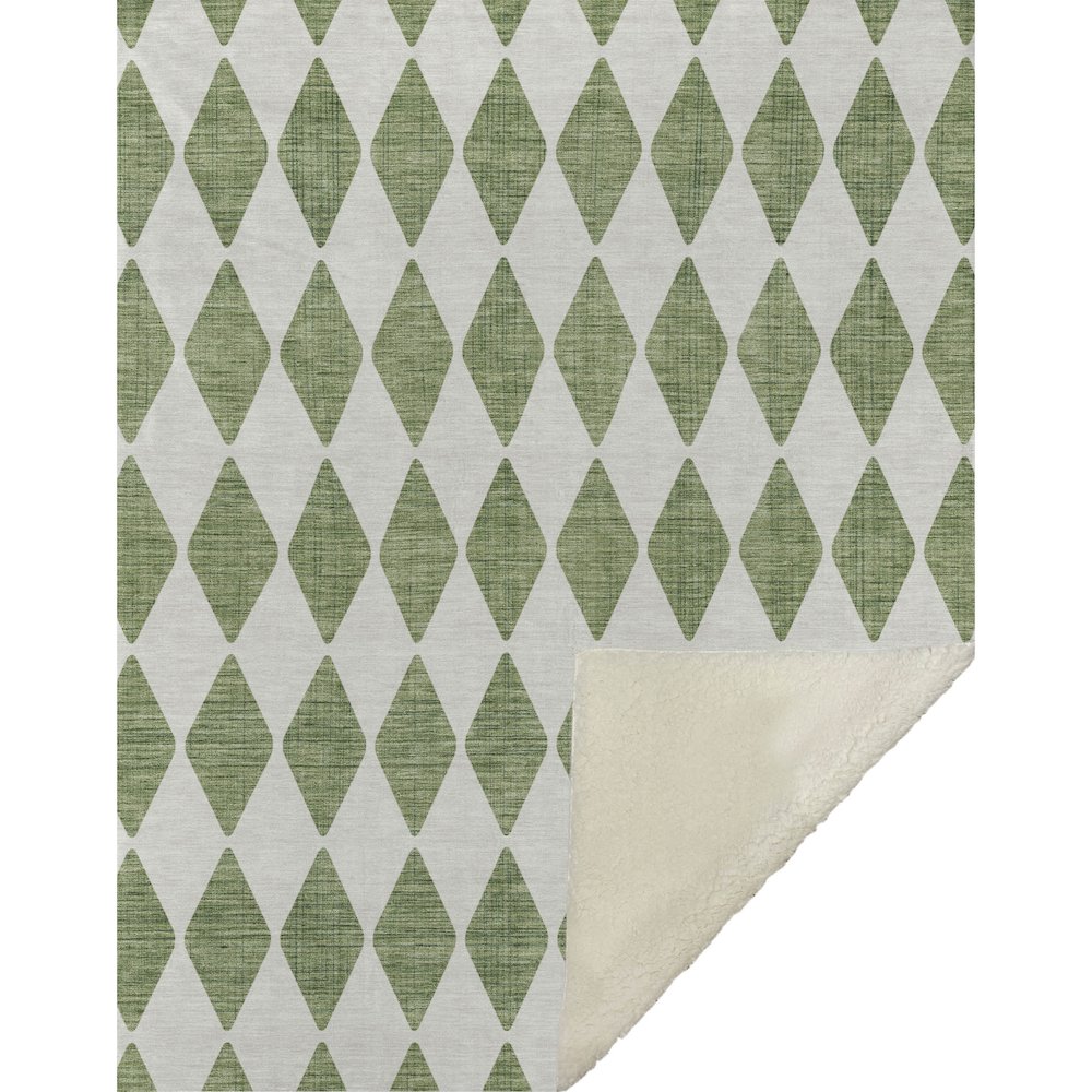 Premium Machine Washable ASB578 Green 50" x 70" Sherpa Throw Blanket. Picture 1