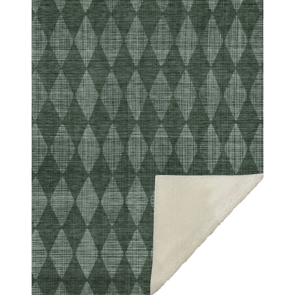 Premium Machine Washable ASB578 Olive 50" x 70" Sherpa Throw Blanket. Picture 1