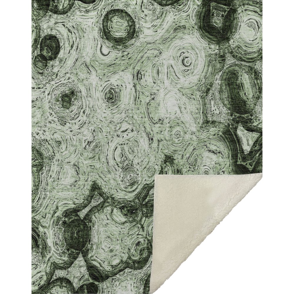 Premium Machine Washable ASB579 Green 50" x 70" Sherpa Throw Blanket. Picture 1