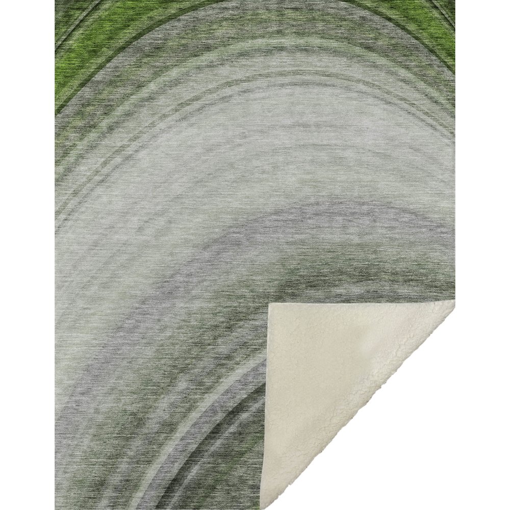 Premium Machine Washable ASB584 Green 50" x 70" Sherpa Throw Blanket. Picture 1