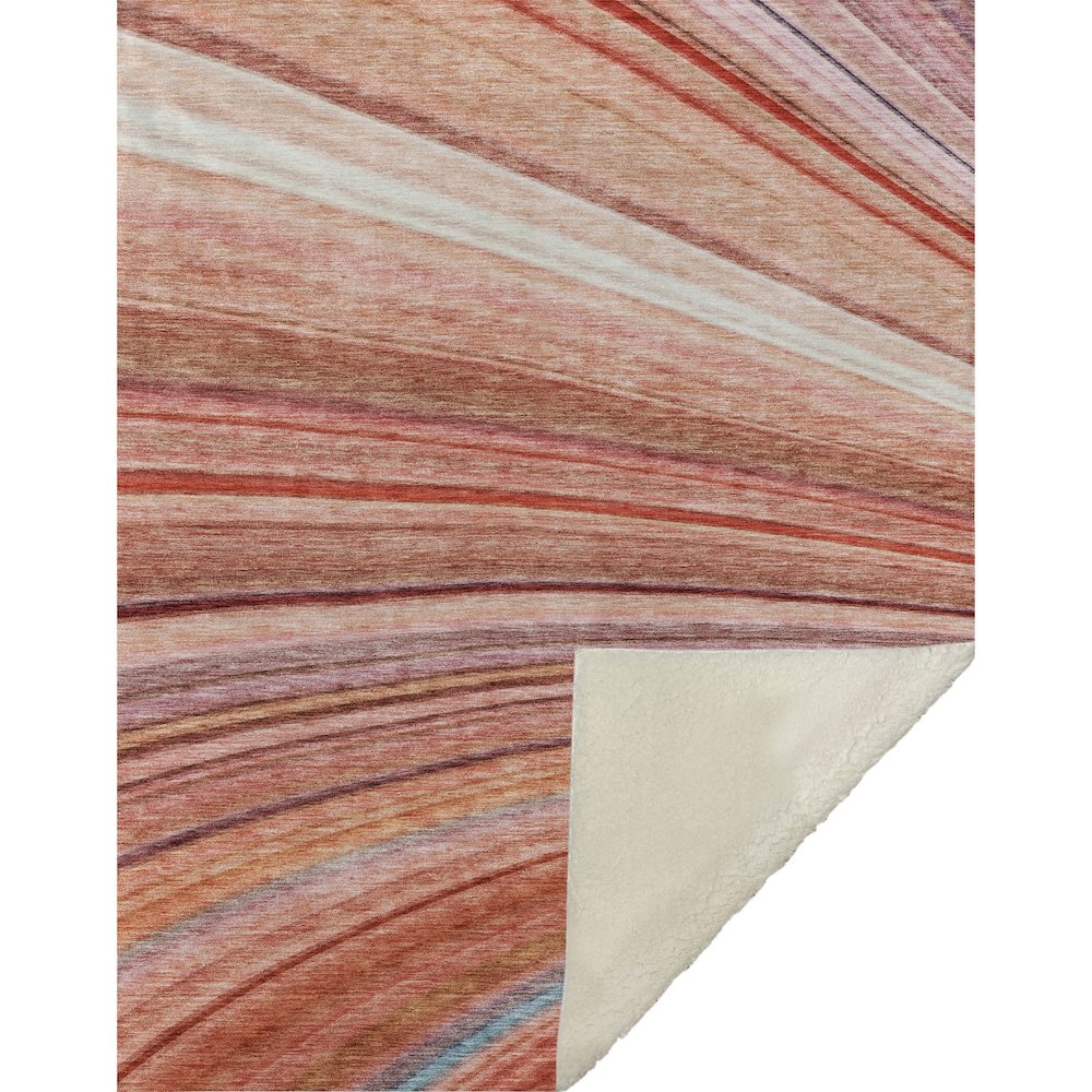 Premium Machine Washable ASB585 Terracotta 50" x 70" Sherpa Throw Blanket. Picture 1