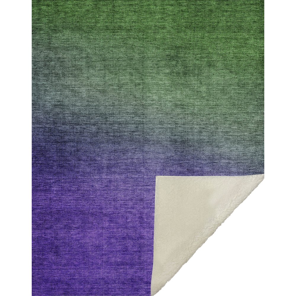 Premium Machine Washable ASB587 Green 50" x 70" Sherpa Throw Blanket. Picture 1