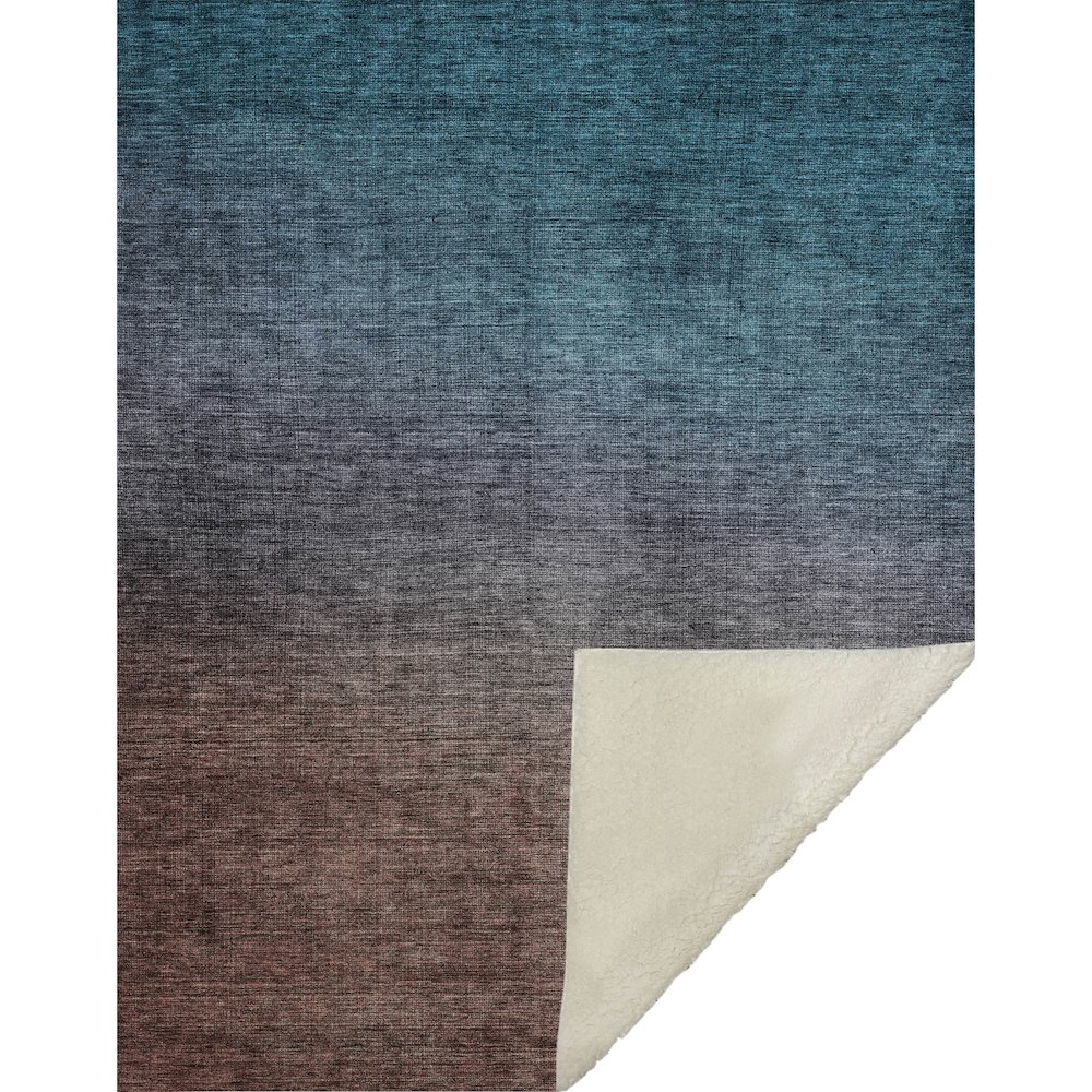 Premium Machine Washable ASB587 Teal 50" x 70" Sherpa Throw Blanket. Picture 1