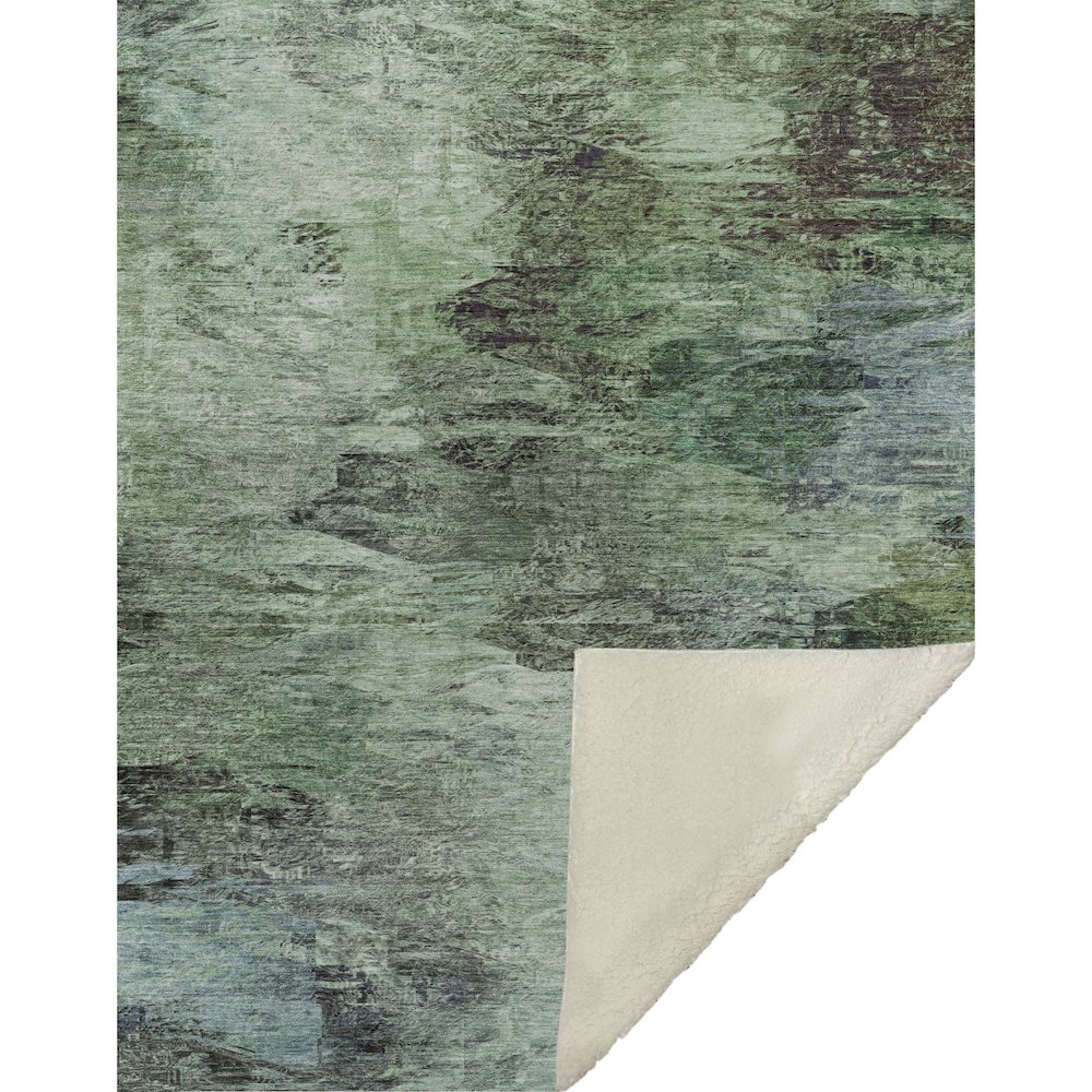 Premium Machine Washable ASB592 Green 50" x 70" Sherpa Throw Blanket. Picture 1