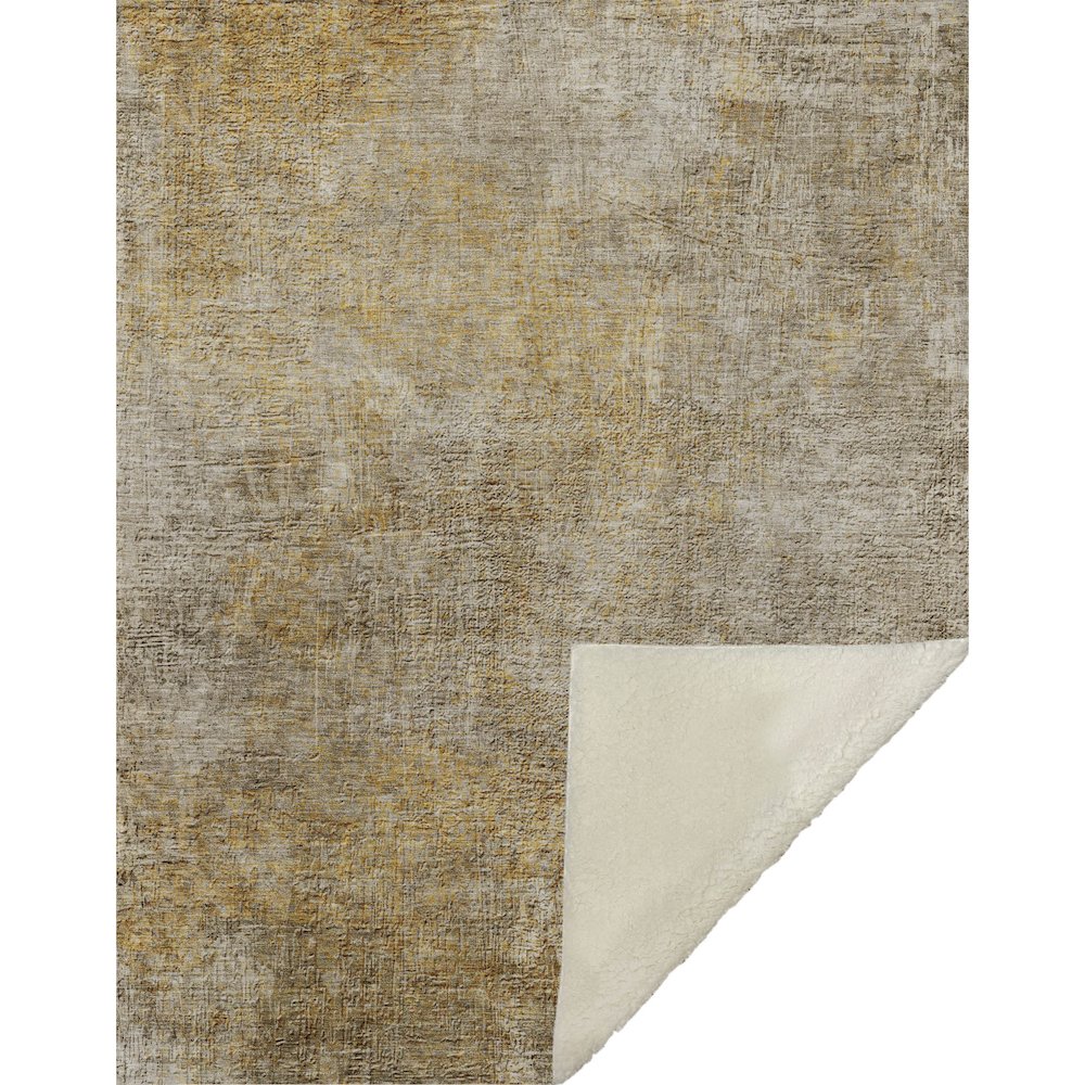 Premium Machine Washable ASB593 Beige 50" x 70" Sherpa Throw Blanket. Picture 1