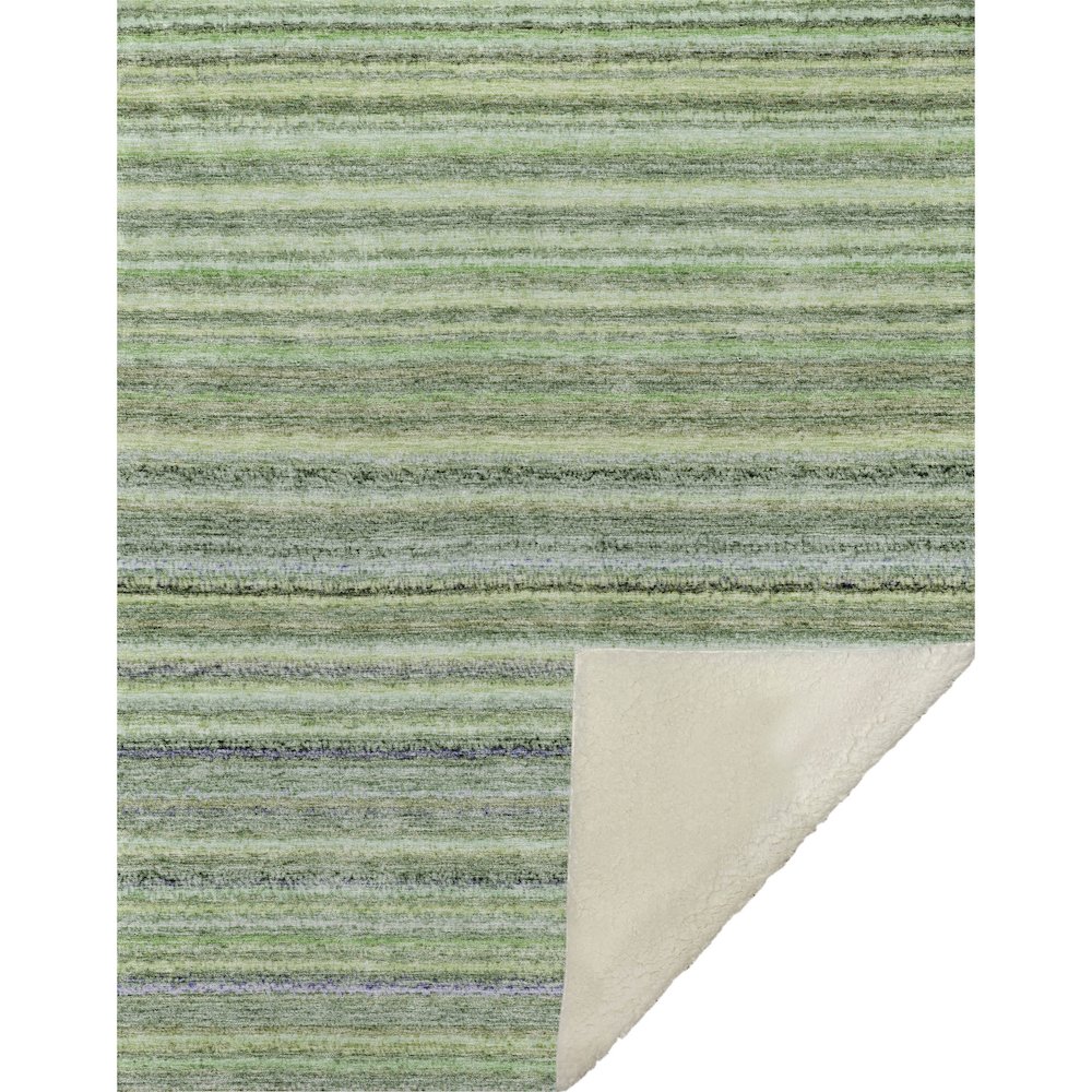 Premium Machine Washable ASB598 Green 50" x 70" Sherpa Throw Blanket. Picture 1