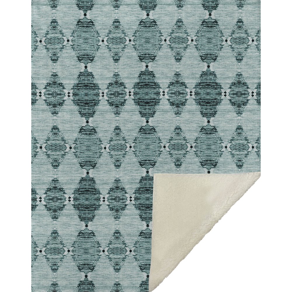 Premium Machine Washable ASB610 Teal 50" x 70" Sherpa Throw Blanket. Picture 1