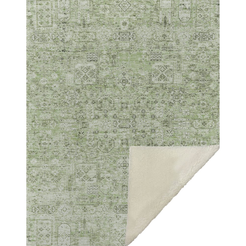 Premium Machine Washable ASB611 Green 50" x 70" Sherpa Throw Blanket. Picture 1