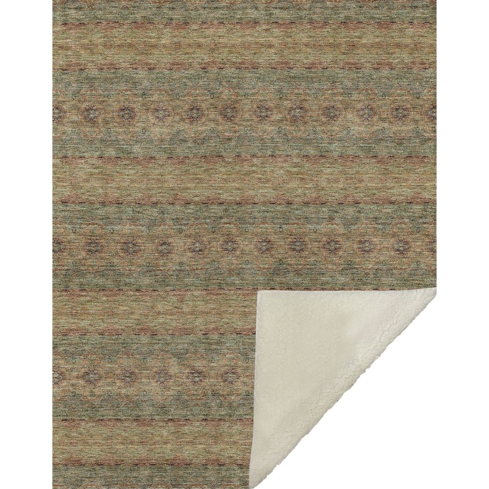 Premium Machine Washable ASB615 Green 50" x 70" Sherpa Throw Blanket. Picture 1