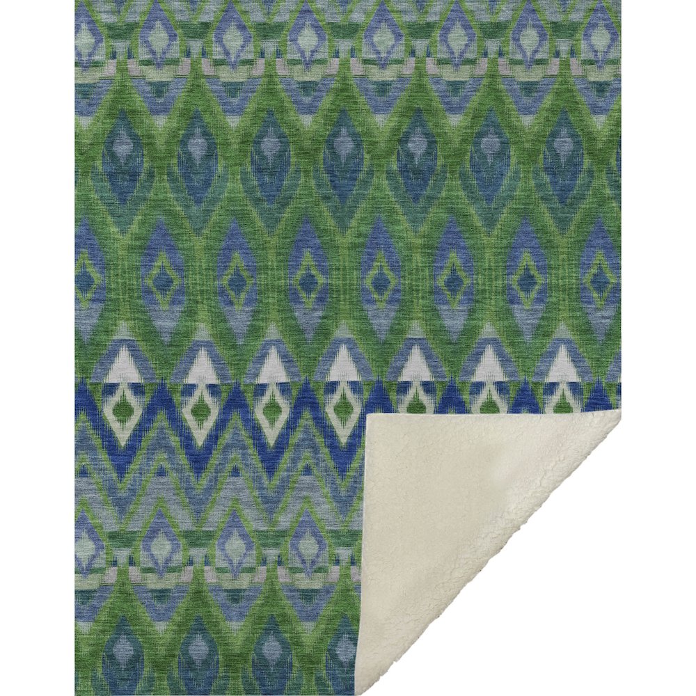 Premium Machine Washable ASB617 Green 50" x 70" Sherpa Throw Blanket. Picture 1