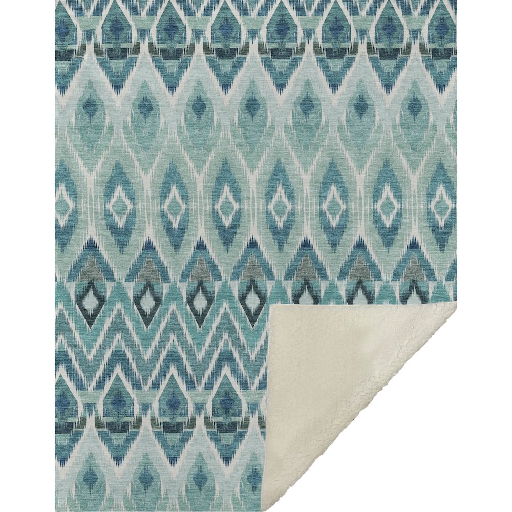 Premium Machine Washable ASB617 Teal 50" x 70" Sherpa Throw Blanket. Picture 1