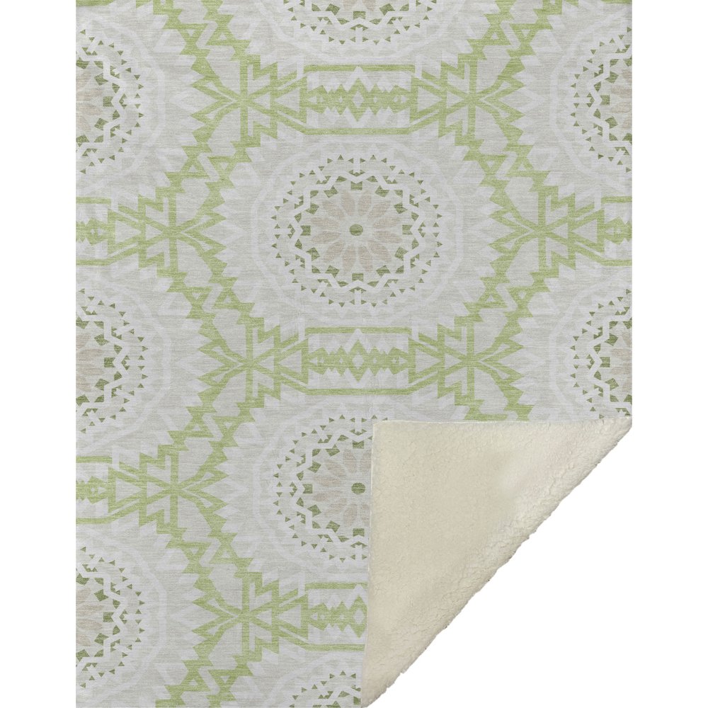 Premium Machine Washable ASB619 Aloe 50" x 70" Sherpa Throw Blanket. Picture 1