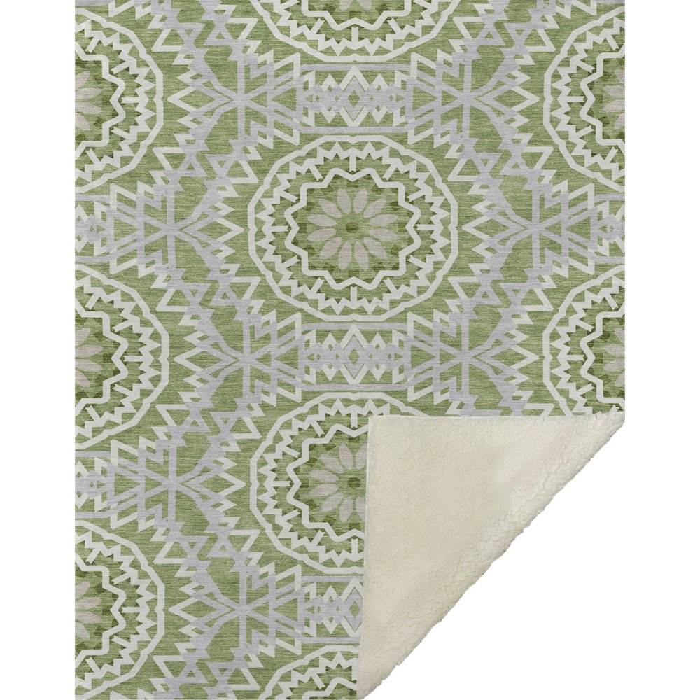 Premium Machine Washable ASB619 Green 50" x 70" Sherpa Throw Blanket. Picture 1