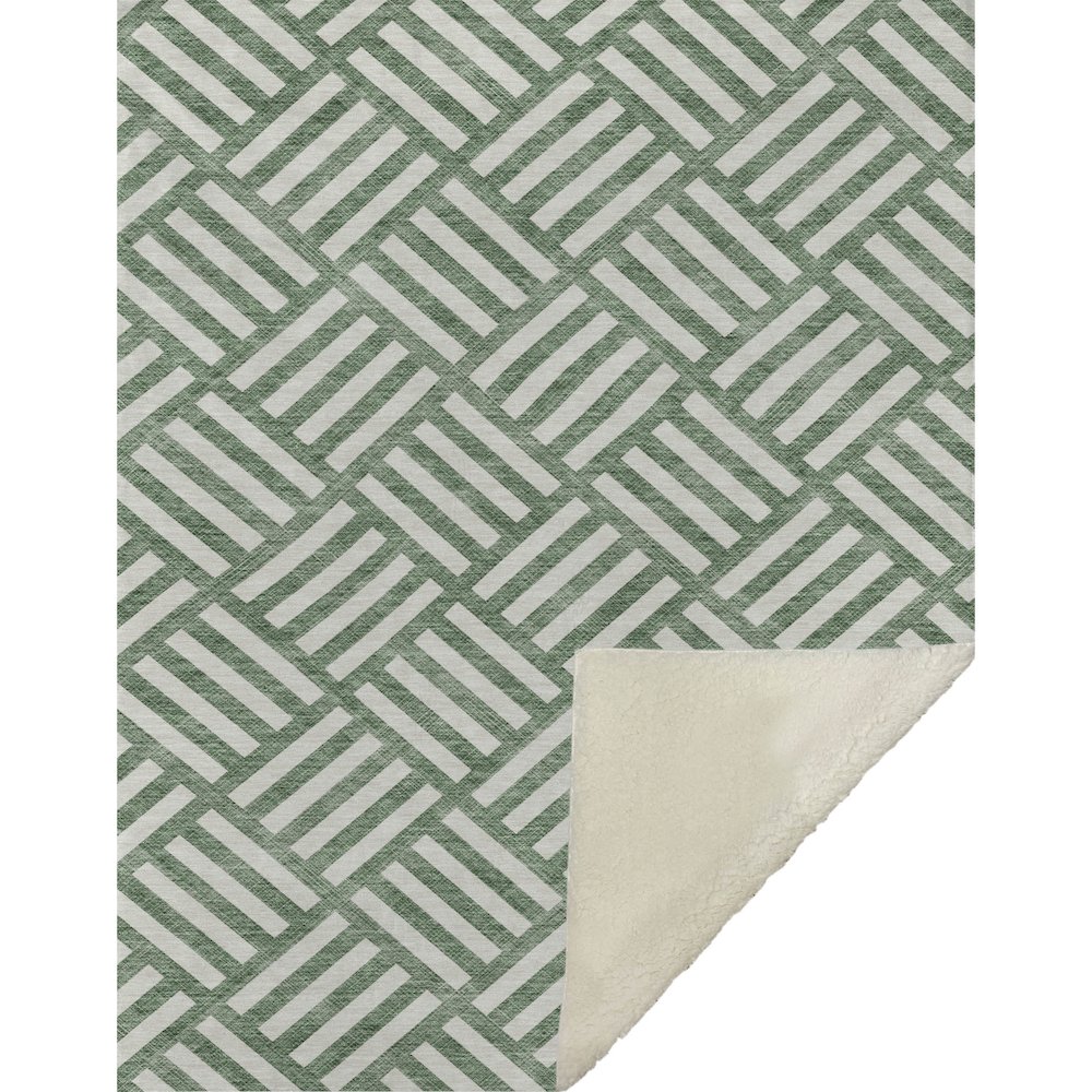 Premium Machine Washable ASB620 Green 50" x 70" Sherpa Throw Blanket. Picture 1