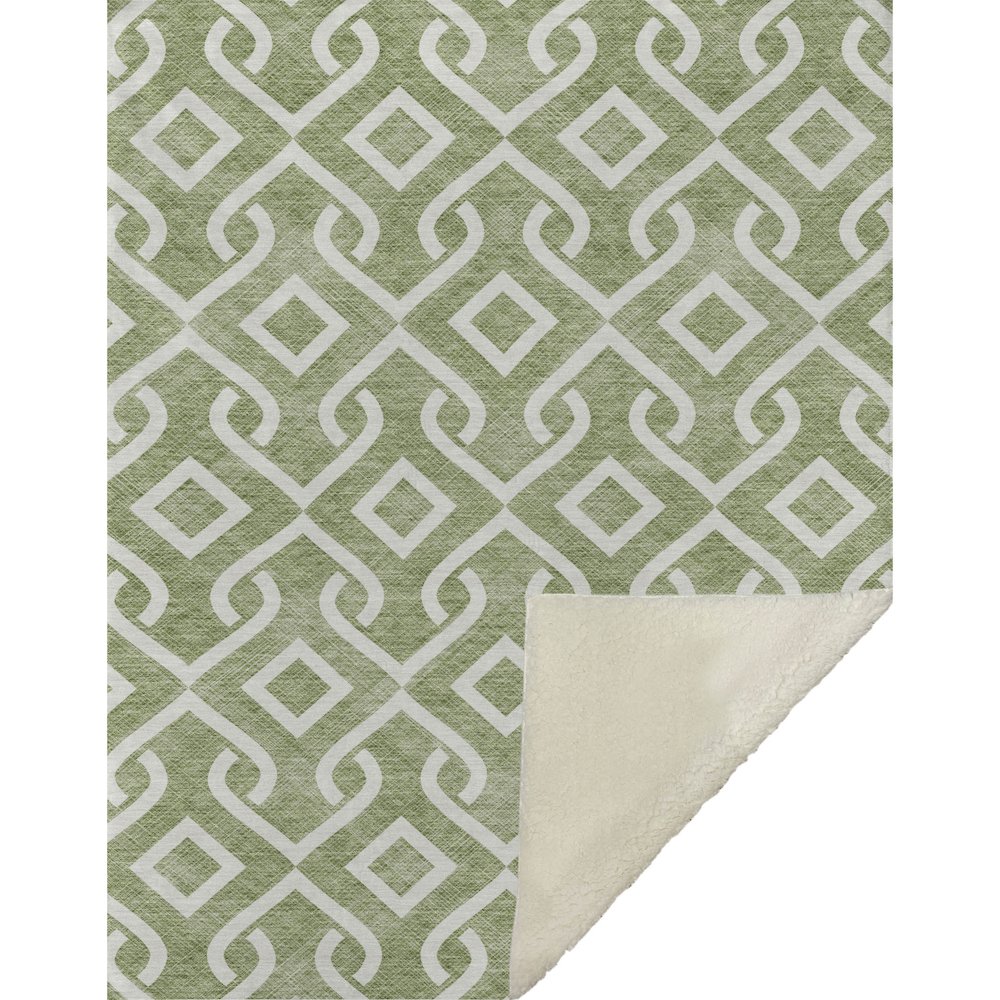 Premium Machine Washable ASB621 Green 50" x 70" Sherpa Throw Blanket. Picture 1
