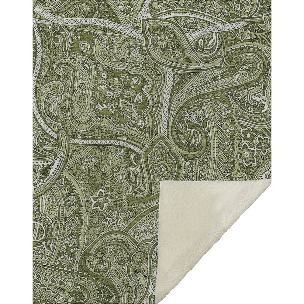 Premium Machine Washable ASB623 Green 50" x 70" Sherpa Throw Blanket. Picture 1